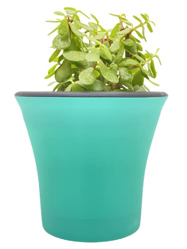 See full amazon price history chart for garbnoire Self Watering Flower pots 6” Virgin Plastic Indoor Outdoor Balcony Flower Pot with Outer Flower Pot and Inner Plate- Pack of (Turquoise, 5) garbnoire Self Watering Flower pots 6” Virgin Plastic Indoor Outdoor Balcony Flower Pot with Outer Flower Pot and Inner Plate- Pack of (Turquoise, 5) (B09FGQDBYC) Amazon Price History, Amazon Price Tracker