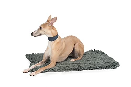 Ancol Timberwolf Whippet-Hundehalsband aus Leder, genarbtes Zaumzeug, bequem, langlebig, Haustier-Trainingszubehör, 30–34 cm