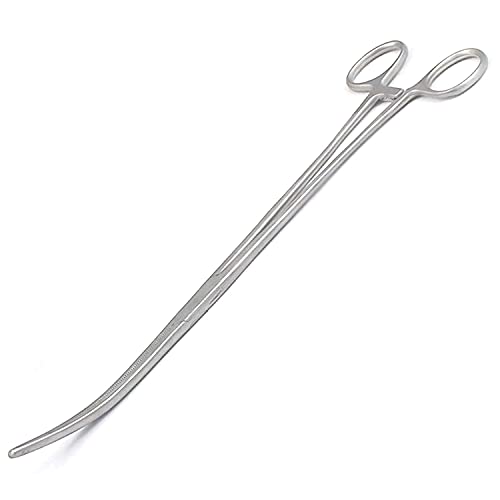 How to remove a tick from a dog with tweezers