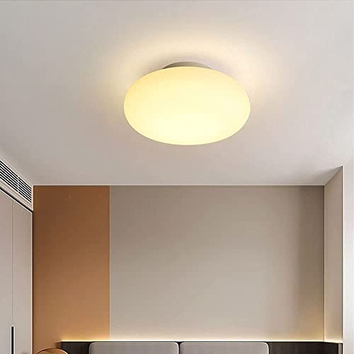 Luces de techo led dimables WQHPLMD de estilo nórdico y cúpula redonda 6