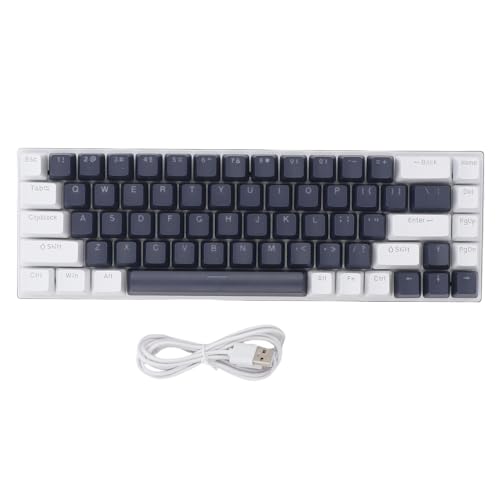 ZenithAur Teclado para Juegos diseño Compacto del 60%, Interruptor Azul, retroalimentación táctil, RGB dinámico para computadora portátil y PC (Blanco Azul)
