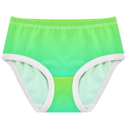 Joisal Lemon Green Turquoise Blue Gradient Cute Panties Girl Toddlers Underwear Floral Cotton Cartoon Underpants Briefs 2t
