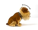 Der Edo Wackelhund hat alles im Blick