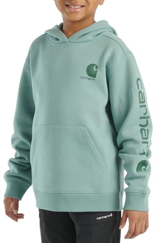 Carhartt Kid's CA6581T Long-Sleeve Graphic Sweatshirt, Patina - Youth Unisex Medium (10)
