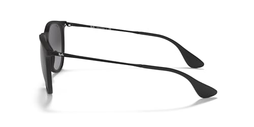 Image of Ray-Ban RB4171 Erika Round Sunglasses