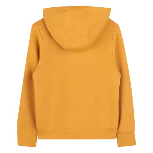 Image of Timberland Boys Kids Fitted Hooded Sweatshirt