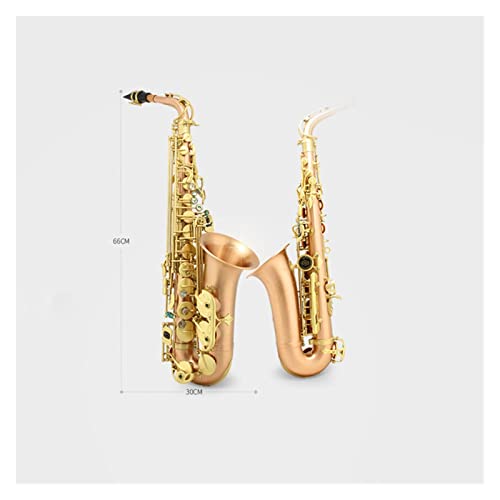 E-Flat Alto Saxophone/Pipe Gold Bronze TbNXy