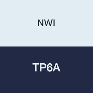 NWI TP6A Fresh Mint Fluoride Toothpaste, Not Individually Boxed, Metallic Finish Tube, 0.6 oz. (Pack of 144)
