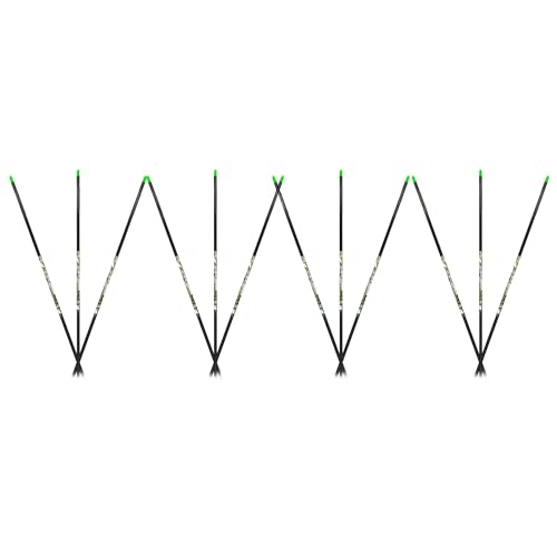 Carbon Express D-Stroyer Piledriver Shafts 400 1 doz.