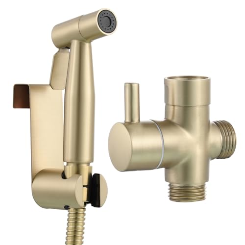 Tecmolog Doccia Bidet Portatile in Acciaio Inox Set di Doccetta WC con Tubo per Igiene Personale Oro Spazzolato, WS024J2F