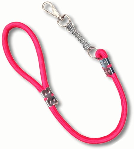 Guia amortecedor para cachorros grandes Corda 14mm 60cm Polipropileno (Azul)
