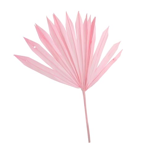 DRESSOOS Foglia Di Palma Ornamento D'arte Del Vaso Bouquet Di Foglie Di Palma Essiccate Materiale Per Composizioni Floreali Ventaglio Di Foglie Di Palma Essiccate Fiori Secchi Rosa
