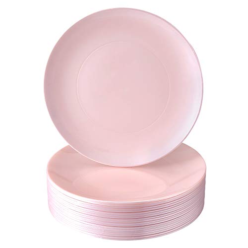 Modern Design Disposable Plastic Dinner Plates for Party (10 PC) ...