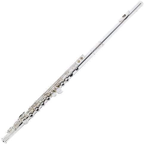 Mendini By Cecilio Flutes - Closed Hole C Flute For Beginners, 16-Key Flute with a Case, Stand, Lesson Book, and Cleaning Kit, Musical Instrument for Kids, Silver Plated