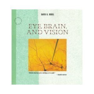 Eye, Brain, and Vision (Scientific American Library): Hubel, David H.