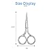 Eyebrow Scissors, Precision Grooming Shears, Nose Hair Trimmer - Professional Stainless Steel Fine Tip for Beard, Mustache, Eyelashes, Cuticles- ASONTAO (1Pcs Eyebrow Scissors)