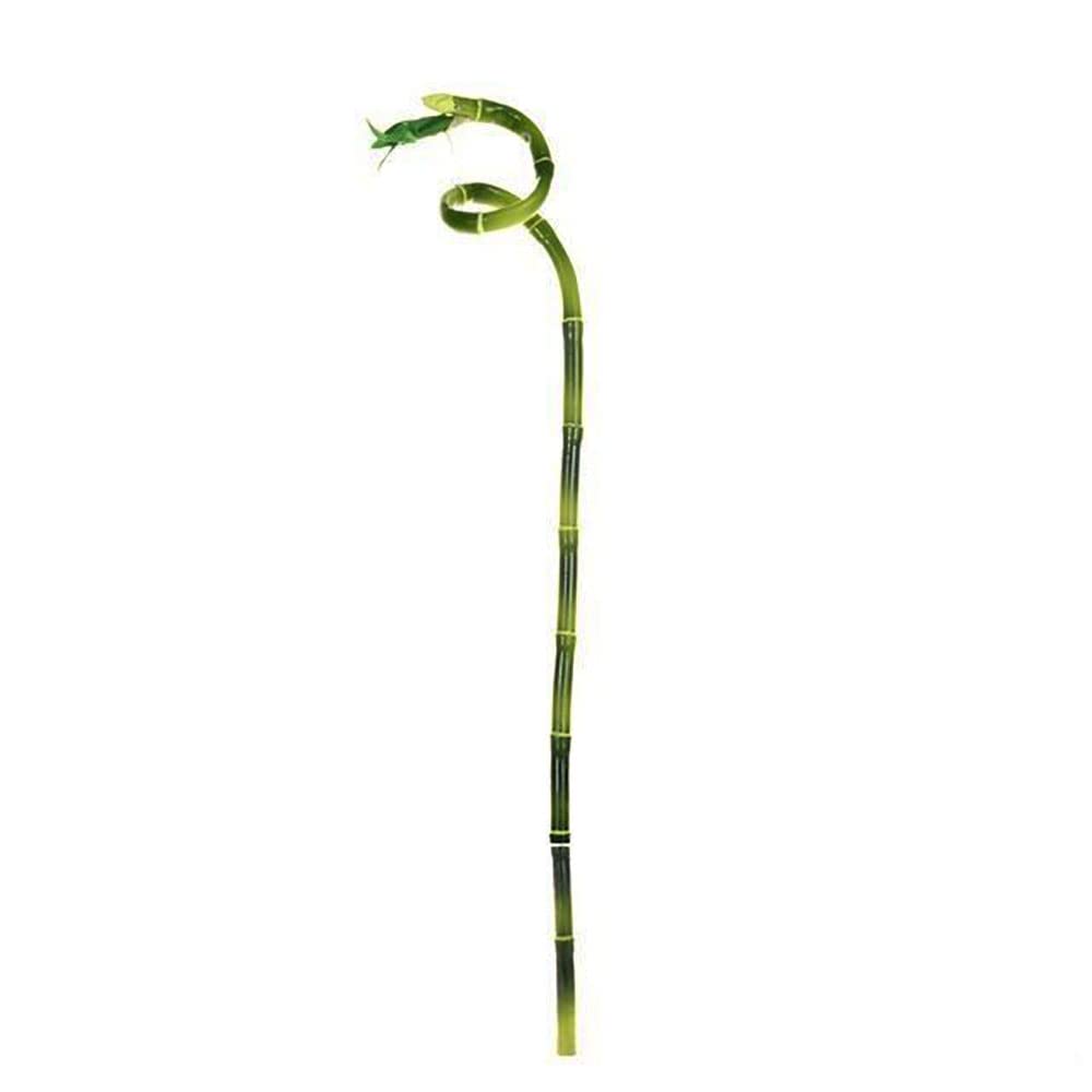 Amazon.de: FloristryWarehouse Knstlicher Bambus-Stiel, 61 cm, Grn