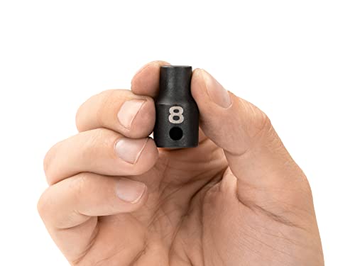 Image of TEKTON 3 /8 Inch Drive x 8 mm Shallow 12-Point Impact Socket | SID12308