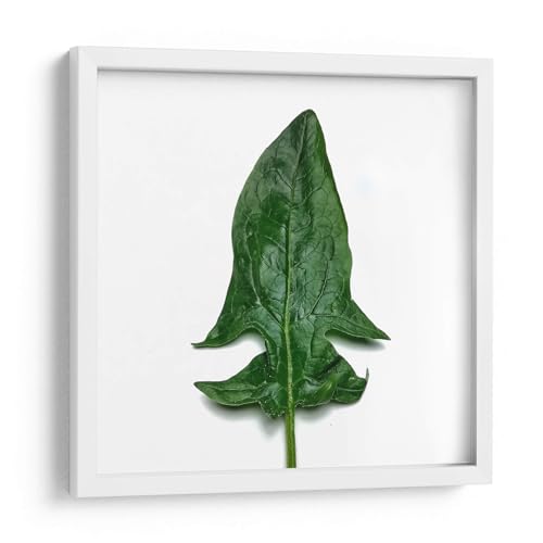 Canvas Lab | Spinach by Chef Capellini | 19 x