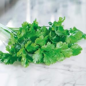 60.000 Sementes de Coentro verdão 500g Hortaliças Temperos Saladas