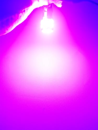 Image of BA15D LED Bulb 1142 1076 Light Bulb Pink Purple for Car Marine Boat Truck Camper Trailers Motorhomes Interior Lights AC /DC 12V-24V (Pack 2)