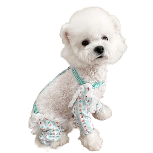 ėp\Ȍ̃WvX[cOU𒅂鏬ȑ傫ȃybĝ߂̏_炩ق̂ȂMX4r̐LkpceEGXg