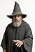 Nicky Bigs Novelties Morph Wizard Felt Hat Witch Sorcerer Hats Adult Costume Scarecrow Accessory for Halloween Deluxe Grey Adult Oktoberfest Peasant Hats Durable Lightweight Cosplay