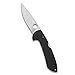 Spyderco Siren Folding Knife - G-10 Black Handle with PlainEdge Steel Blade - C247GP