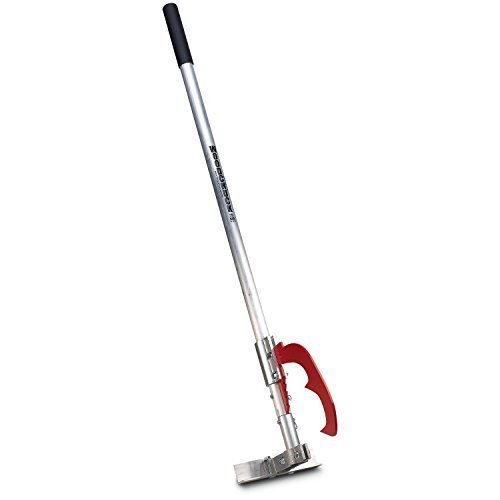 Woodchuck Dual by Woodchuck