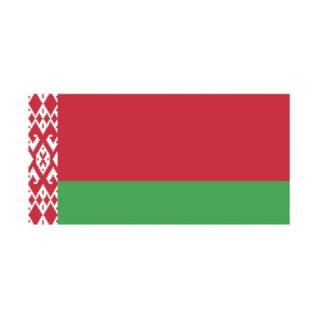 Autocollant Drapeau Belarus Bélarus sticker flag - Taille : 12 cm