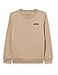 Teddy Smith S- NARK RC JR Sweatshirt à Capuche, Wolf Beige, 16 Garçon
