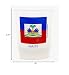 World By Shotglass Haiti Flag Frosted Shot Glass