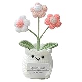 YOOJEE Mental Health Crochet Flower Pot, Positive Stress Relief Desk Decor with Card “Life Can Be Tough But So are You”, Handmade Emotional Support Gift