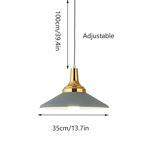 Lampe de plafond industrielle en métal de qualité supérieure E27 - 5