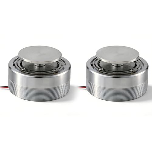Resonance Speaker 2Pcs 2Inch All Frequency Resonance Speaker, 4Ω 25W Resonance Speaker Vibration Strong Bass Louderspeaker, Sturdy Steel Mini Portable Stereo Sound Creative Speaker