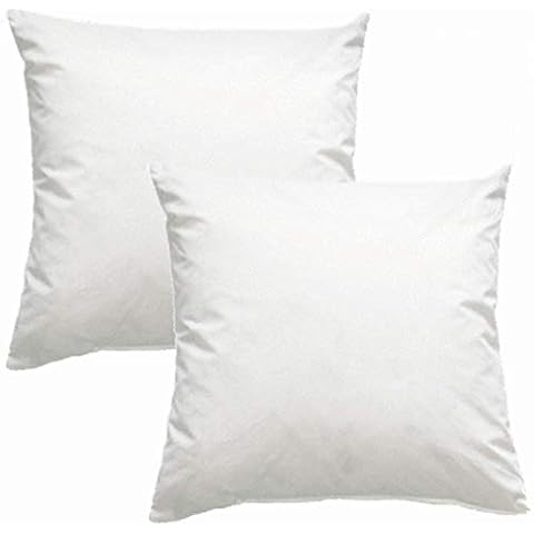 Luxusfeder 2er Set Kissen Daunenkissen 45x45 cm Cover