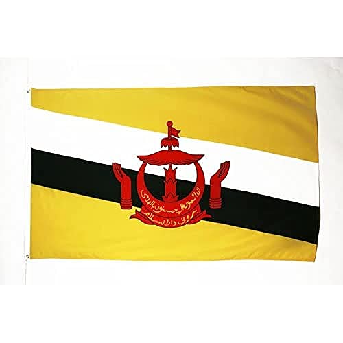 AZ FLAG - Bandera Brunéi - 90x60 cm - Bandera Bruneana 100% Poliéster Con Ojales de Metal integrados - 50g - Colores Vivos Y Resistente A La Decoloración