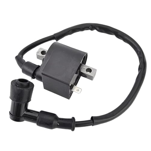 Bobina de encendido para Suzuki DS80 y JR80, componentes 33410-48710