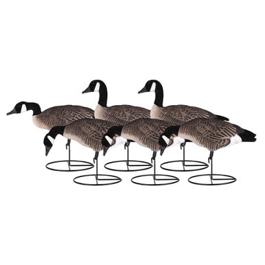 DAKOTA DECOY X-Treme Fully Flocked Lessers Goose Decoys, 6 Pack