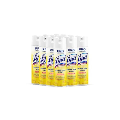 Professional Lysol Disinfectant Spray, Original Scent, 19oz