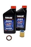 Yamaha TTR 250 (2003-2015) all Models Oil Filter Change Kit Yamaha Part# 1UY-13440-02-00 and 2