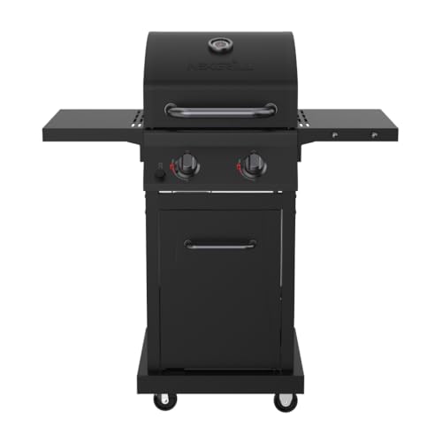 Nexgrill Deluxe 2-Burner Gas Grill 28,000 BTU, Steel Frame