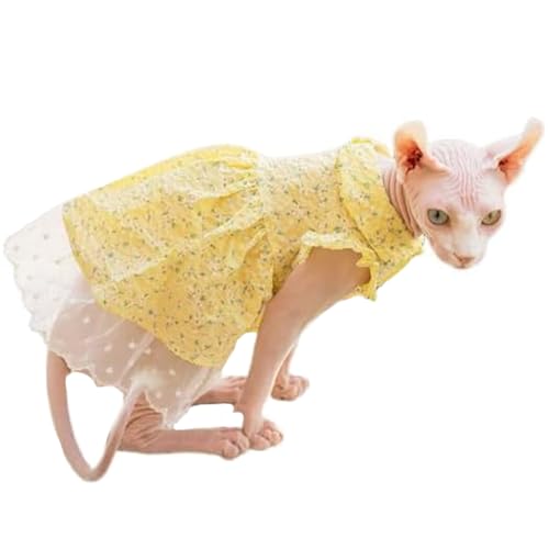 UOSIA t[vg̃[Xtėp̖єLvZXhXBXtBNXAR[jbVbNXAf{bNXAs[^[{[hp̎qL̈ߑ