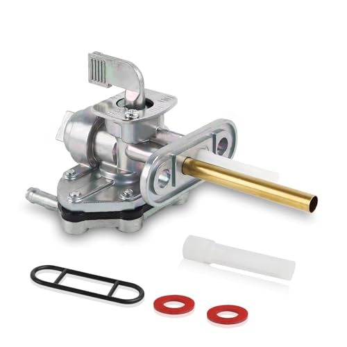 Bomba interruptor 34mm compatible clásico
