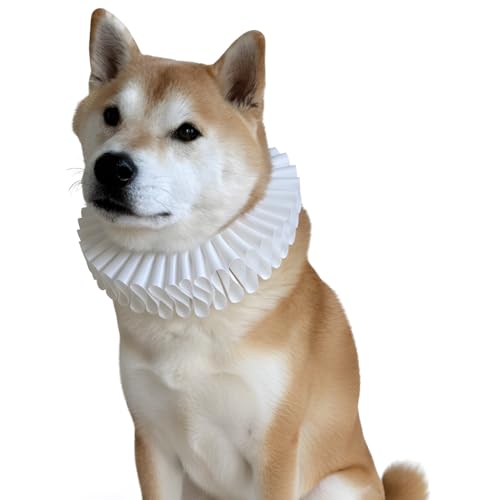 Disfraz medieval para perro talla XL con cuello blanco miniatura 2