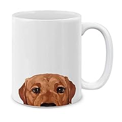 Fox Red Labrador Retriever Dog