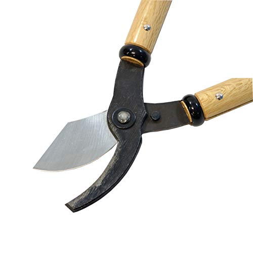 Tijeras profesionales para poda KAKURI 24" miniatura 3
