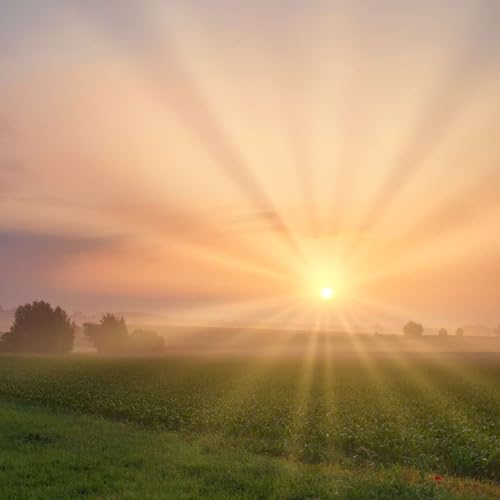 Morning Happiness Meditation: Start Your Day with Joy and Intention