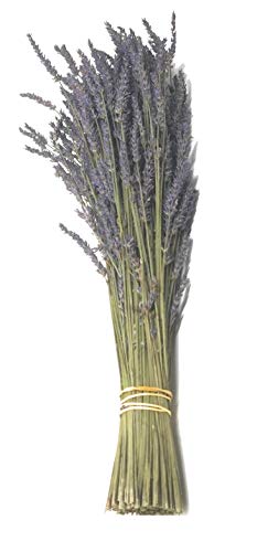 Ramos secos de lavanda, 150 unidades miniatura 1