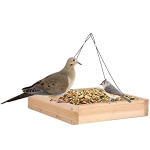 Wild Wings WWCF23 Cedar Tray Bird Feeder